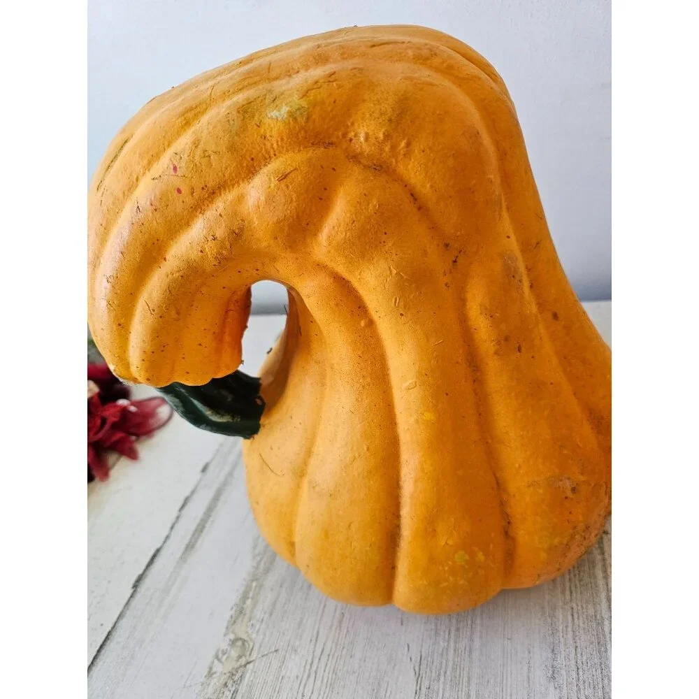 East West vintage gourd pumpkin curved light up as is Halloween fall decor large